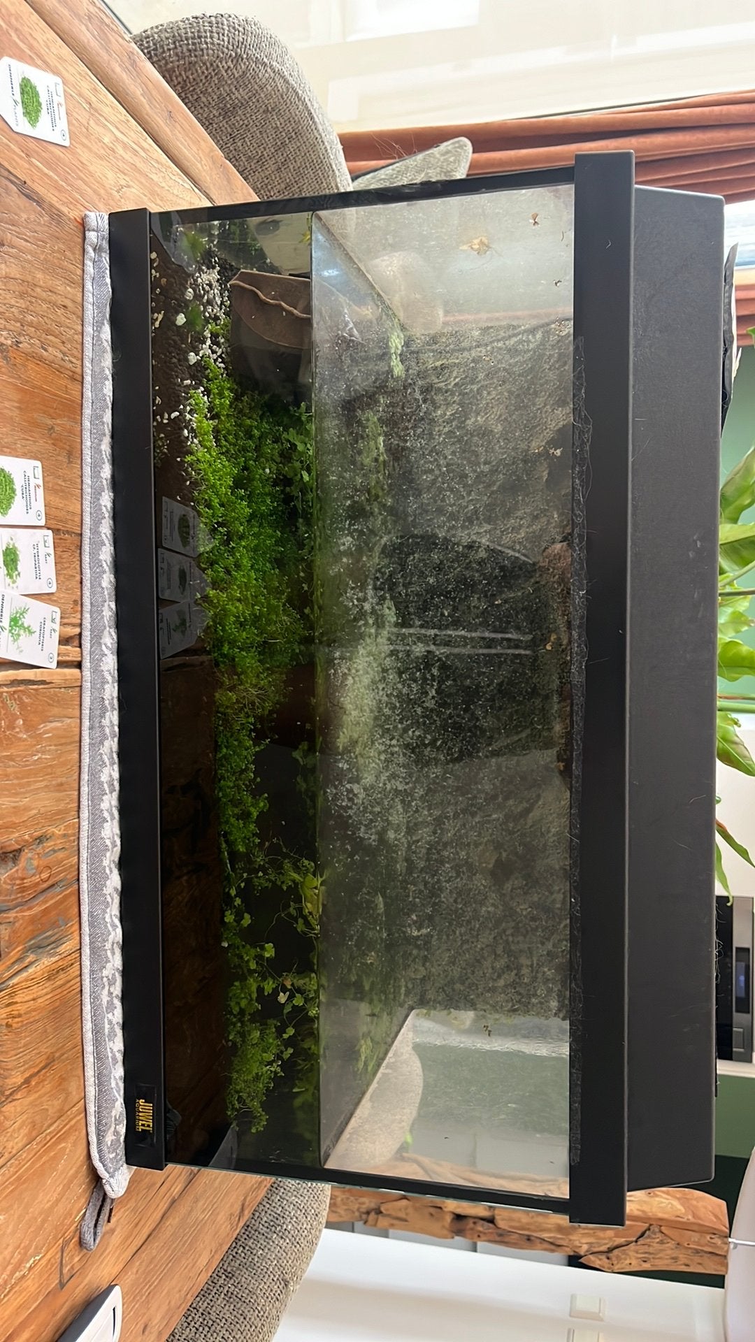 Aquarium inclusief plandjes en voedingsbodem., Ophalen, Gebruikt, Inclusief planten, Gevuld zoetwateraquarium