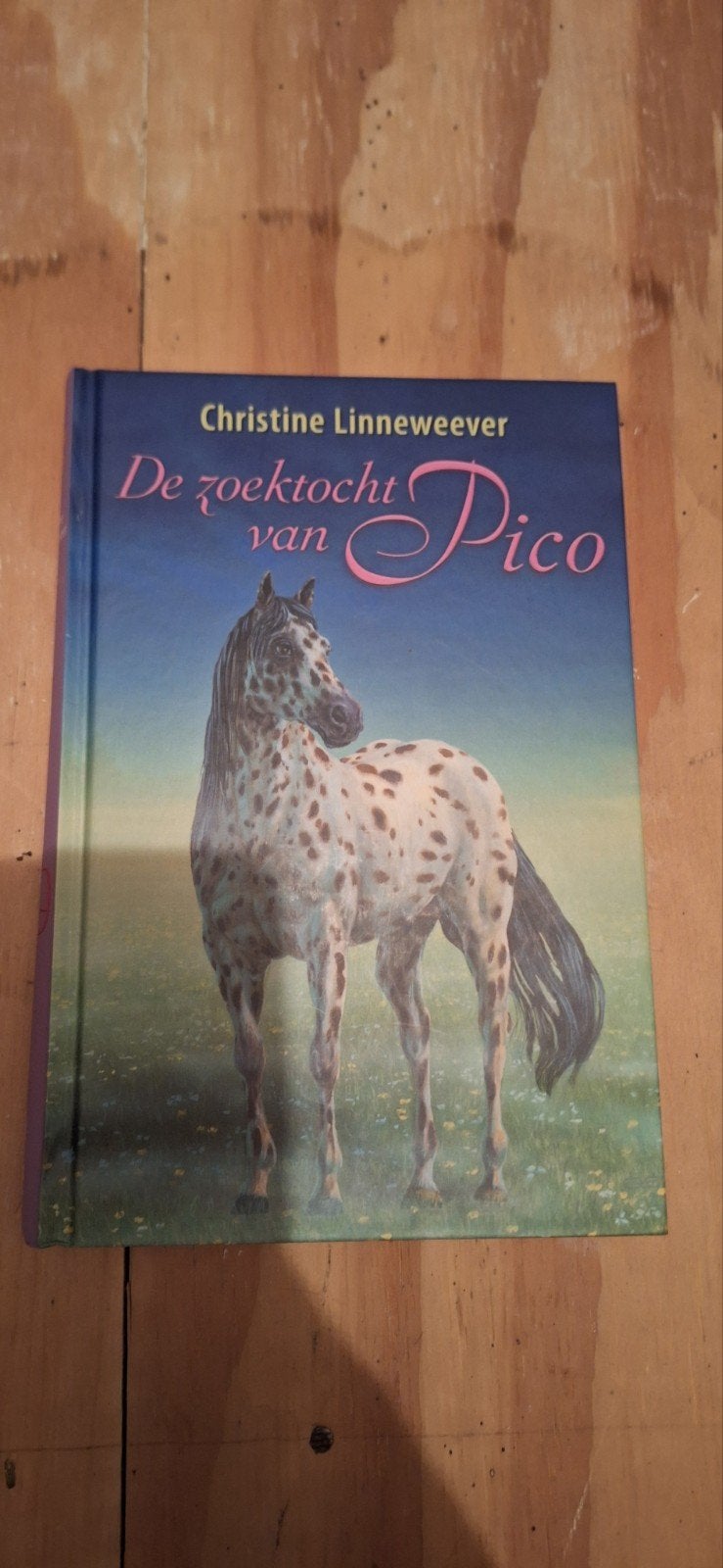 De zoektocht van Pico - Christine Linneweever, Ophalen of Verzenden, Gelezen, Christine Linneweever, Fictie algemeen