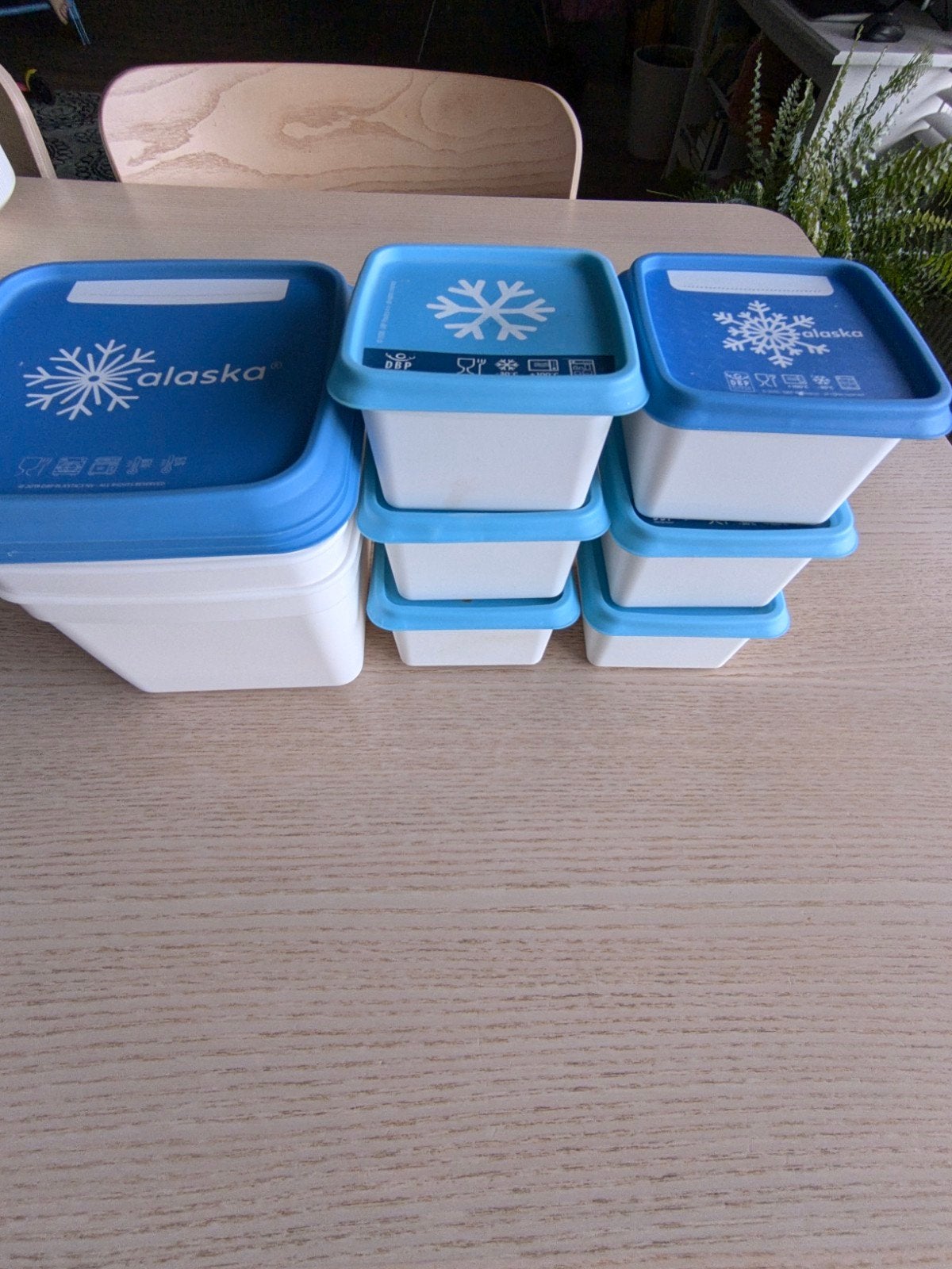 Alaska diepvriesdozen set - diverse maten, Huis en Inrichting, Keuken | Keukenbenodigdheden, Kunststof, Ophalen of Verzenden, Voorraadpot