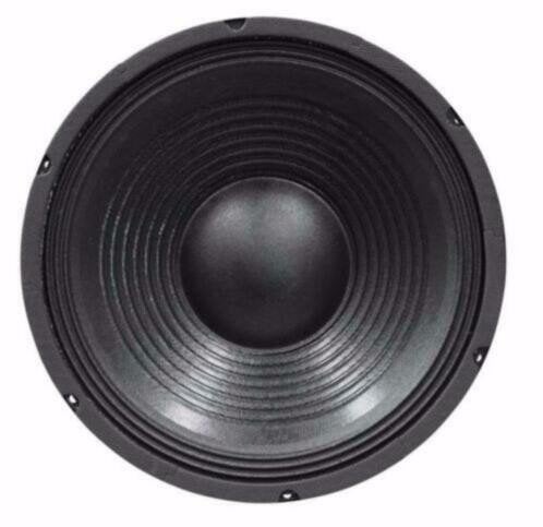 12 inch 30cm Bass Speaker 200 Watt [042PKJ]