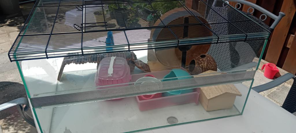 Knaagdieren hok, Dieren en Toebehoren, Knaagdieren en Konijnen | Hokken en Kooien, Minder dan 60 cm, Minder dan 75 cm, Ophalen of Verzenden