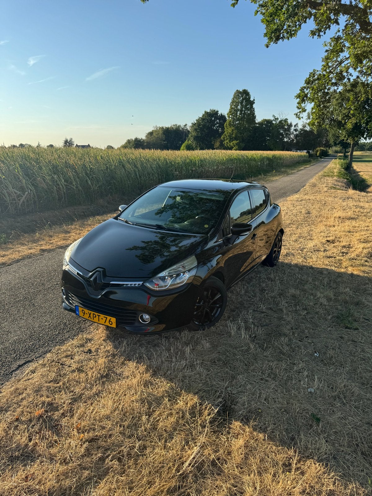 Renault Clio 0.9 TCE 66KW 5-DRS 2014 Zwart, Voorwielaandrijving, Stof, 40 €/maand, Zwart