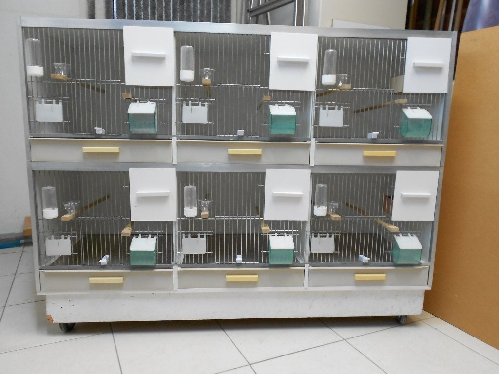Gehu Kanarie broedkooien, Dieren en Toebehoren, Ophalen, Gebruikt, Overige materialen, Broedkooi of Kweekkooi