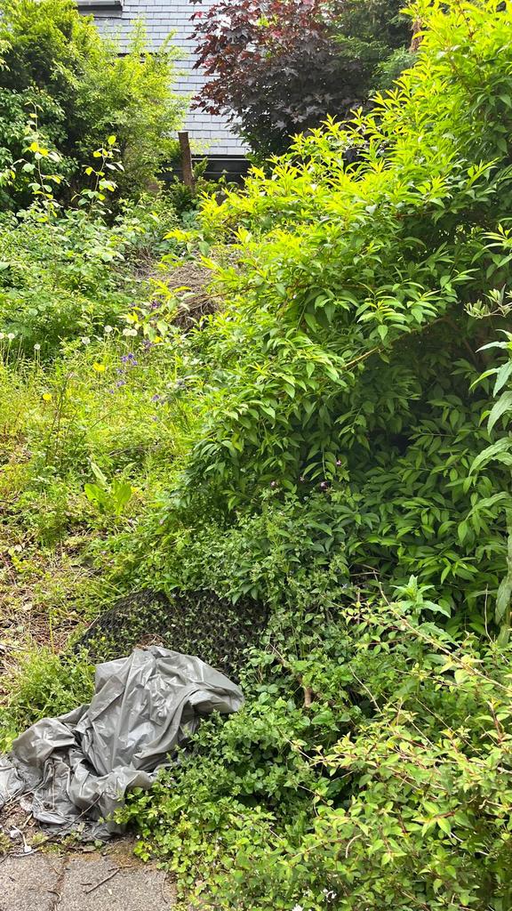 Zoek uw een tuinman wij helpen uw veder, Ophalen of Verzenden