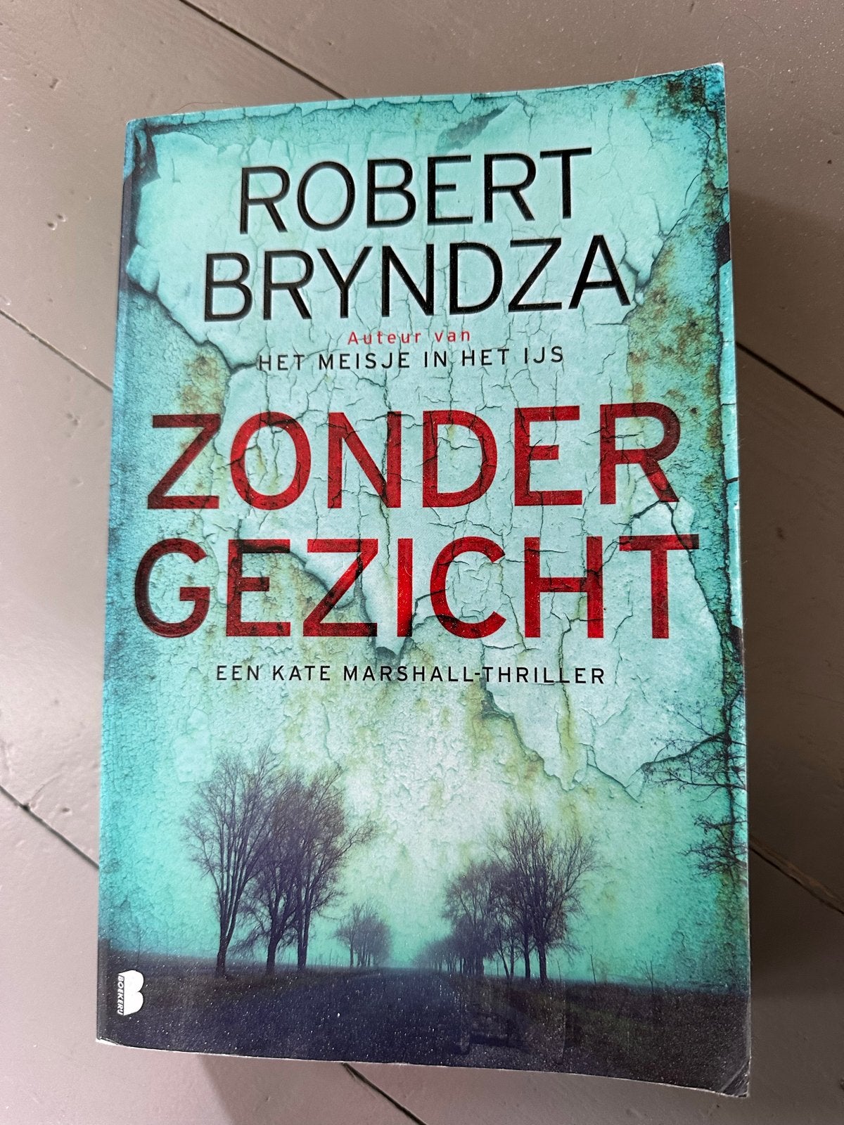 Zonder Gezicht - Robert Bryndza (Kate Marshall-thriller), Ophalen of Verzenden, Zo goed als nieuw