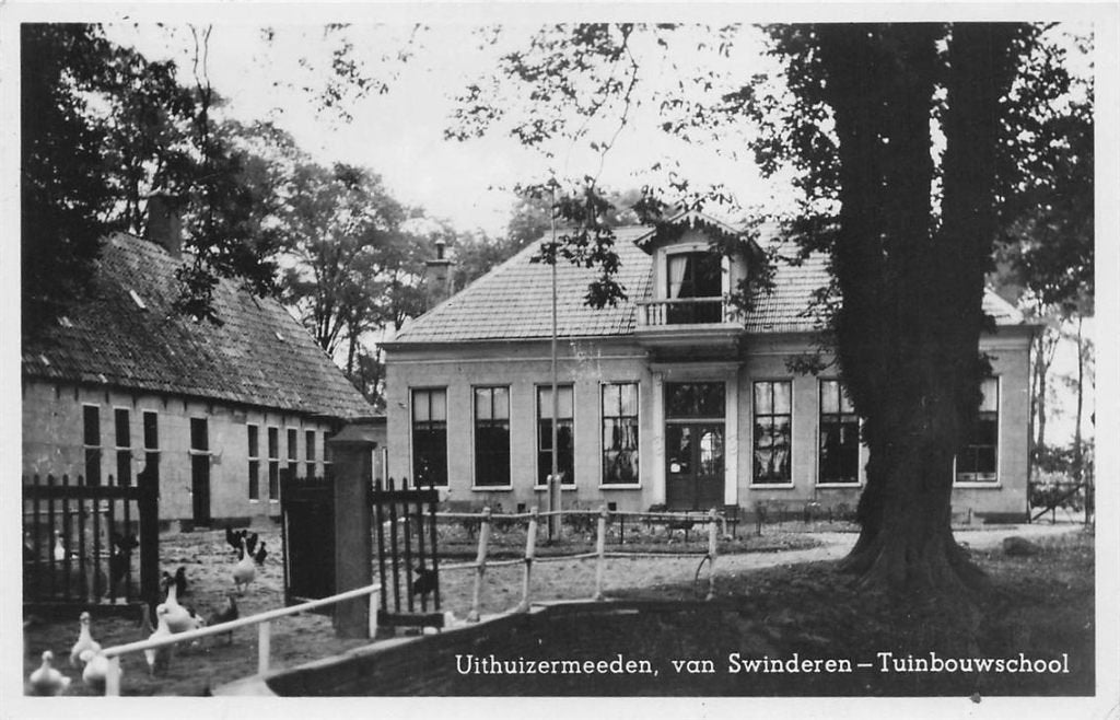 703-367-033 Uithuizermeeden Van Swinderen Tuinbouwschool, Verzamelen, Verzenden, Voor 1920, Groningen