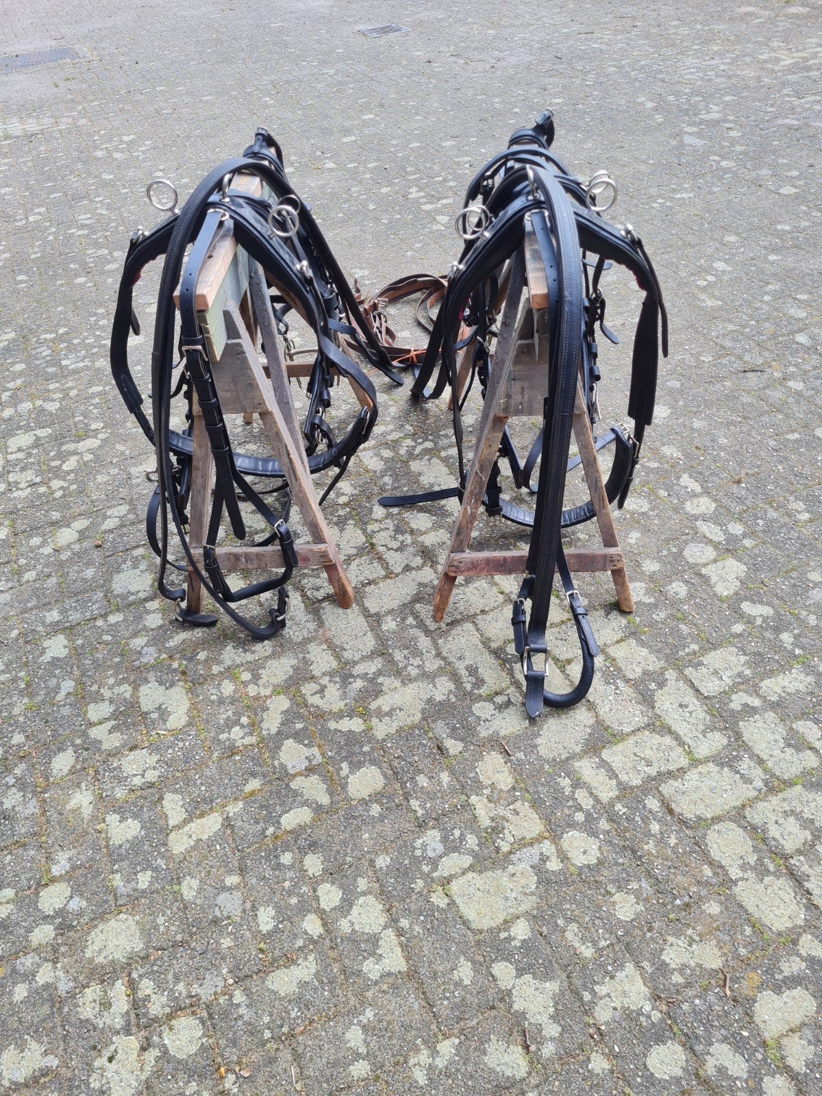 tweespan borsttuig, Ophalen, Inclusief teugels, Borsttuig, Full