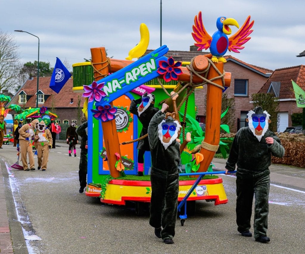 Carnavalswagen thema Apen / Jungle, Ophalen, Gebruikt, Feestartikel, Carnaval