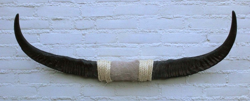 Texas style BULLBAR - 96 cm - waterbuffel hoorns (ref. i2), Ophalen, Nieuw, Boerderijdier, Overige typen