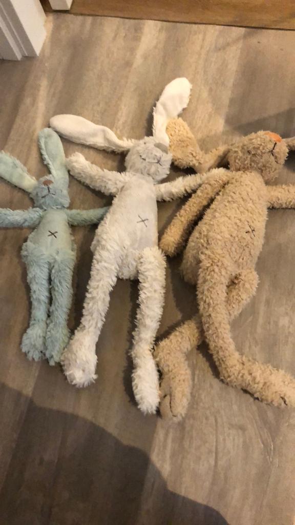 Knuffel haas / hazen, Gebruikt, Prénatal, Overige karakters, Overige typen