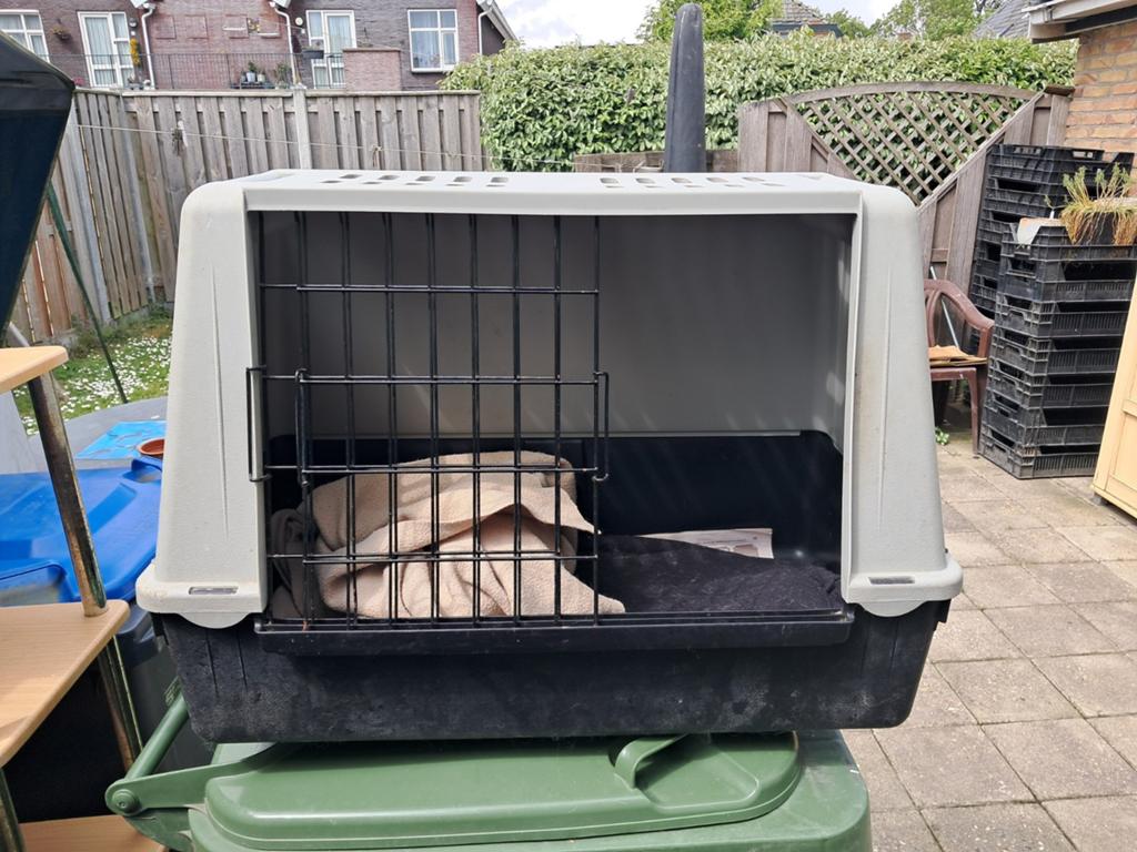 Transportbox, Dieren en Toebehoren, Ophalen