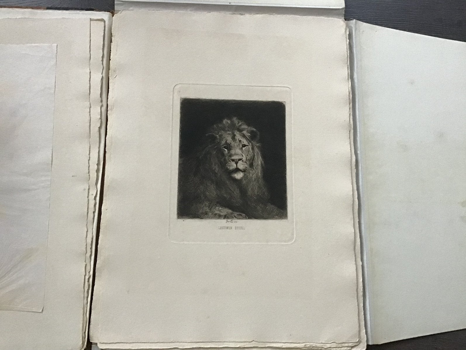 Antieke Etsen * gebroeders Cohen * 22 stuks, Ophalen of Verzenden