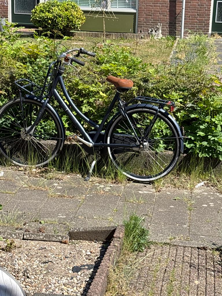 Cortina fiets - Damesfiets, Terugtraprem, Gebruikt, Versnellingen, 50 tot 53 cm