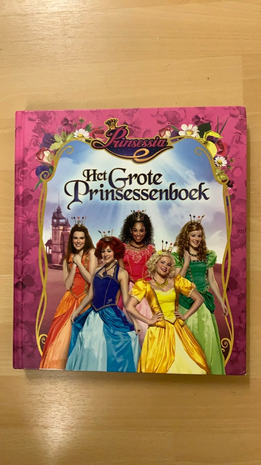 Het Grote Prinsessenboek, Ophalen of Verzenden, Gelezen, Fictie