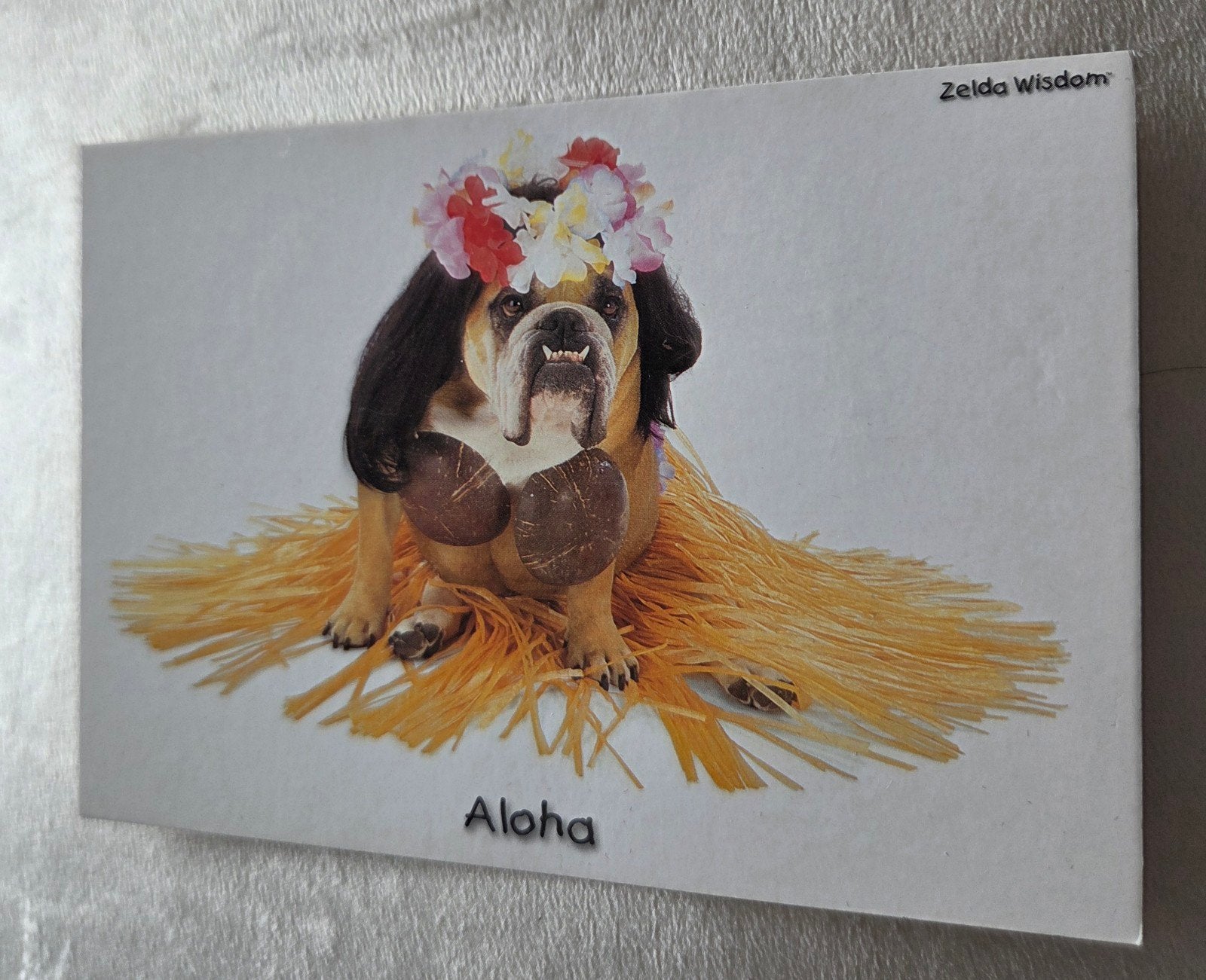 Aloha - Bulldog Hawaï, Verzenden, 1980 tot heden, Ongelopen, Hond of Kat