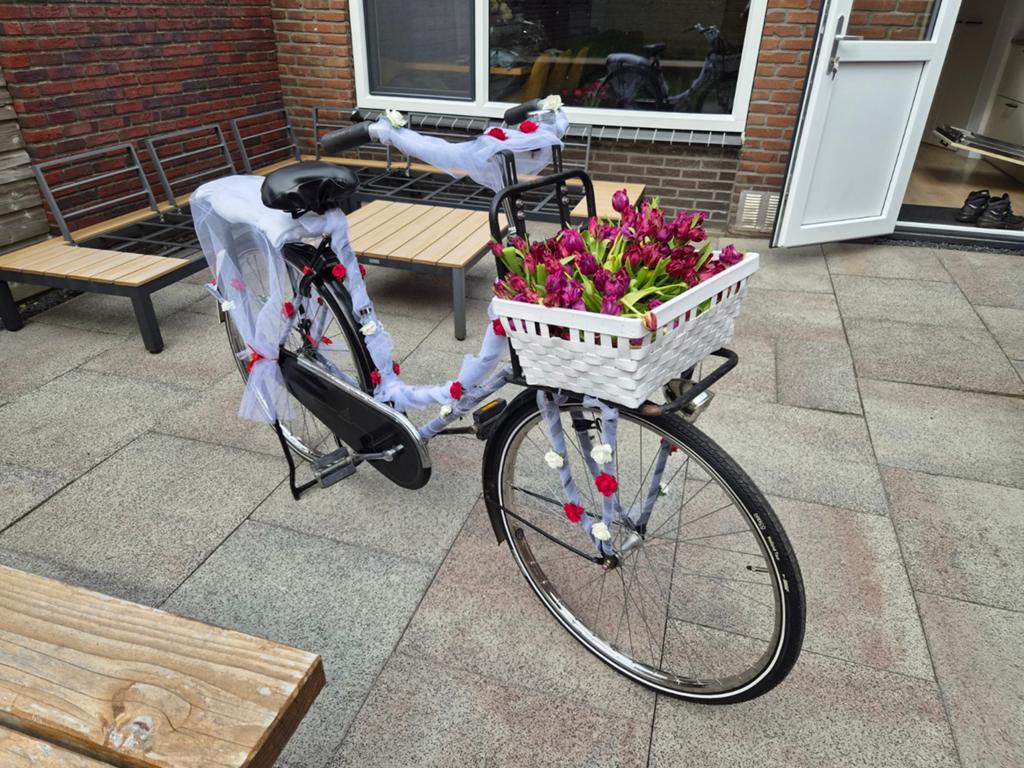 Opoe fiets/trouwfiets, Fietsen en Brommers, Ophalen, Terugtraprem, Gebruikt, 56 cm of meer