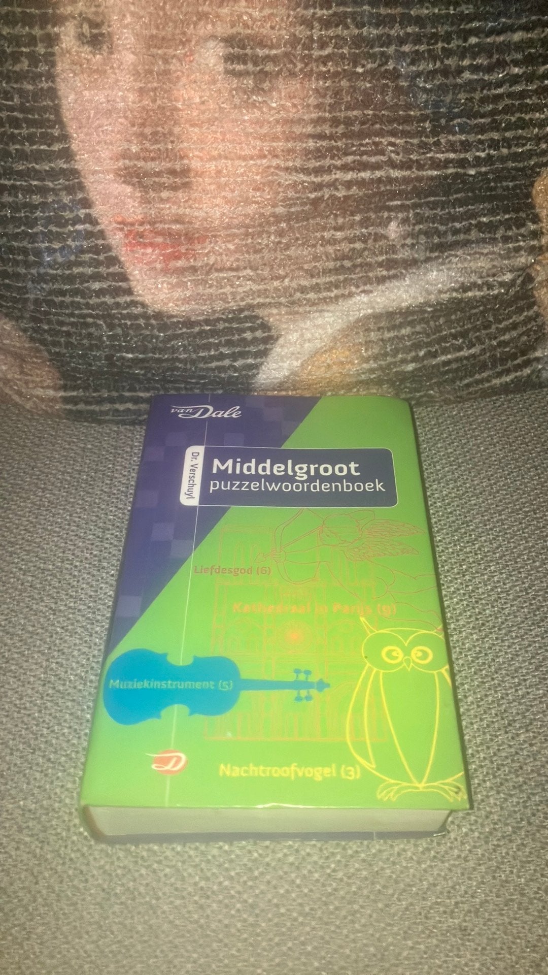 Verschuyl - Middelgroot puzzelwoordenboek, Ophalen, Zo goed als nieuw, Tekenen en Schilderen, Verschuyl