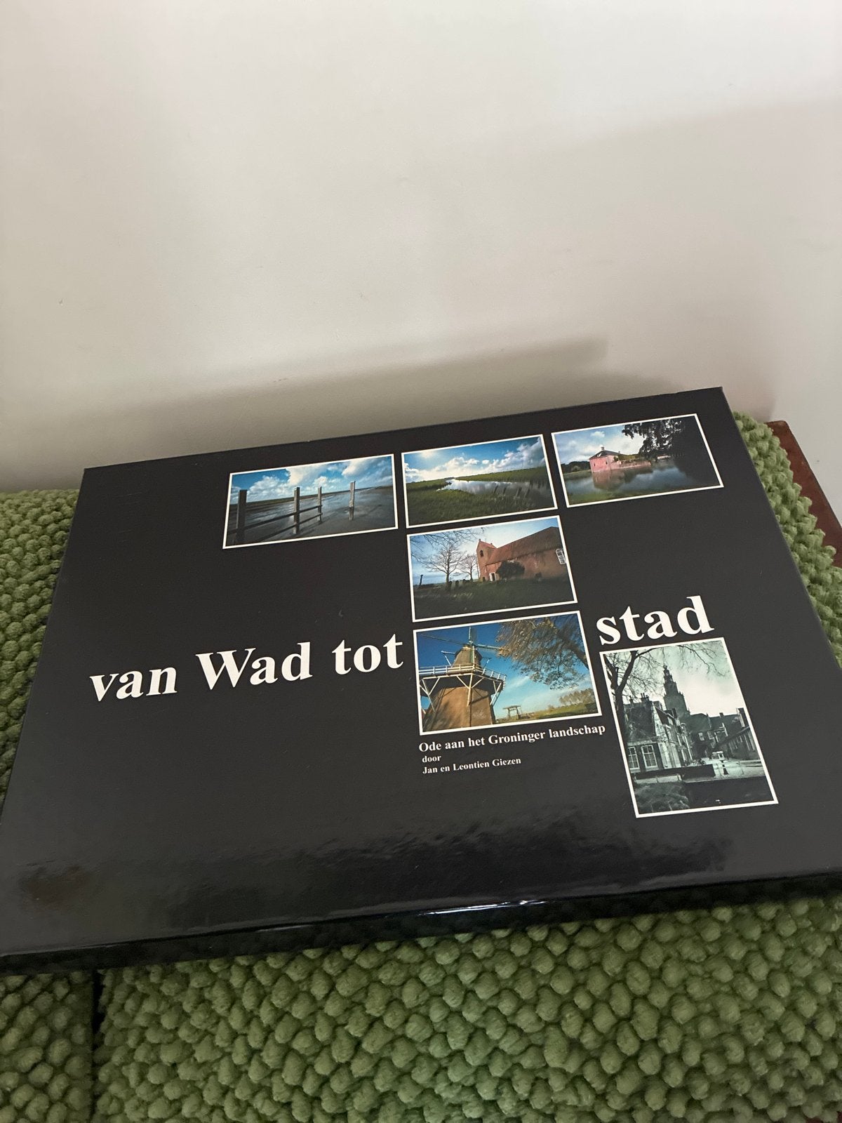 Groot boek "Van Wad tot Stad" in beschermbox - Muziekverenig, Boeken, Ophalen of Verzenden, Zo goed als nieuw, Natuur algemeen