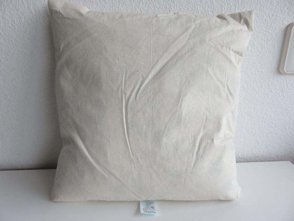 binnenkussen van 40x40 cm met ganzenveren en dons Oeko-tex, Ophalen of Verzenden, Nieuw, Beige, Vierkant