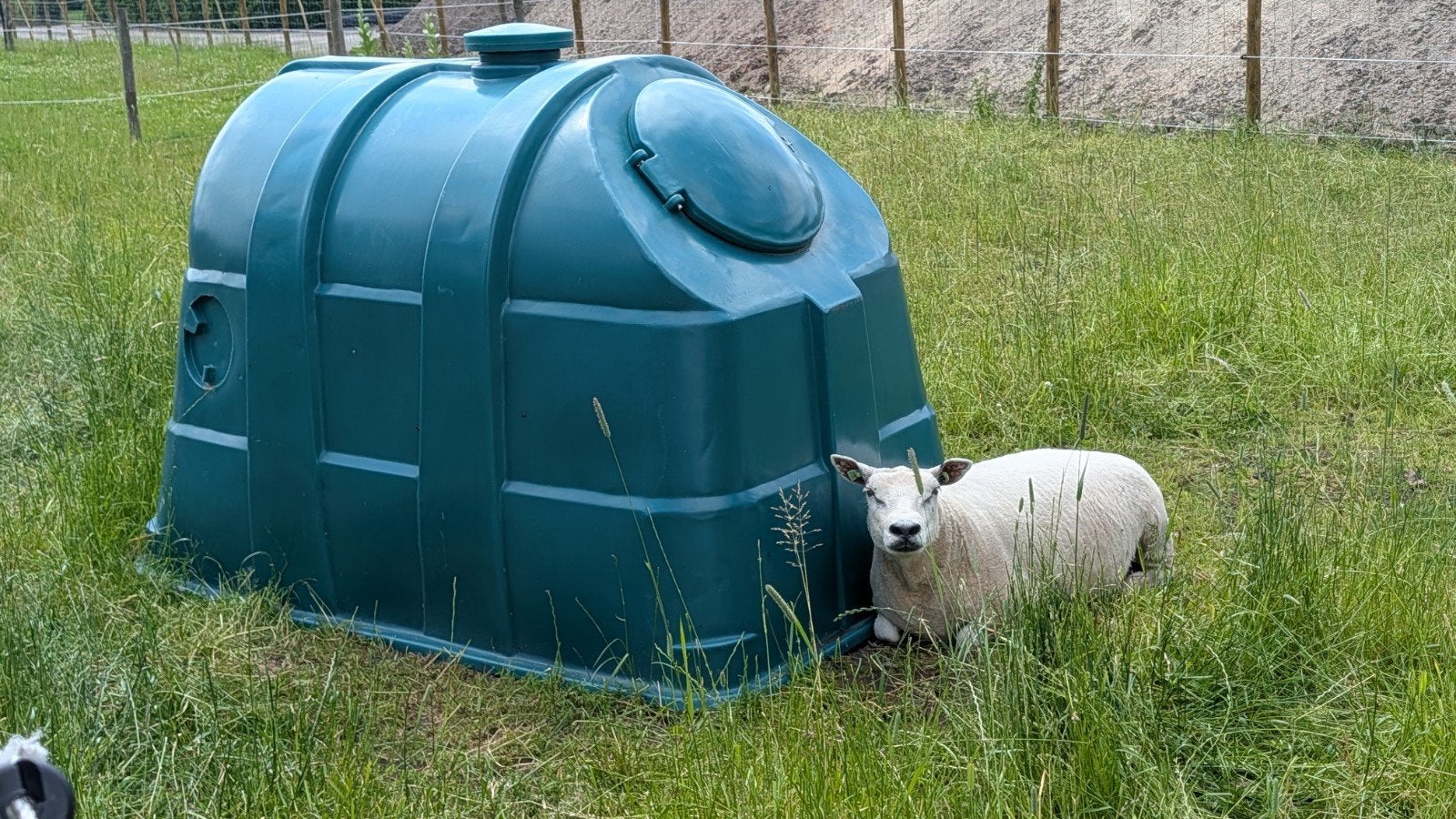 Kalveriglos / geitenhok, haspels, klimtoestel geit, hooiruif, Dieren en Toebehoren, Stalling en Weidegang