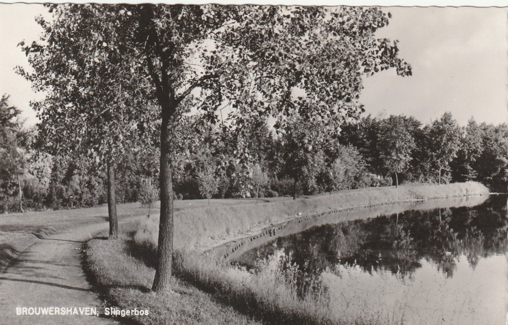 BROUWERSHAVEN Slingerbos, Verzenden, 1960 tot 1980, Ongelopen, Zeeland
