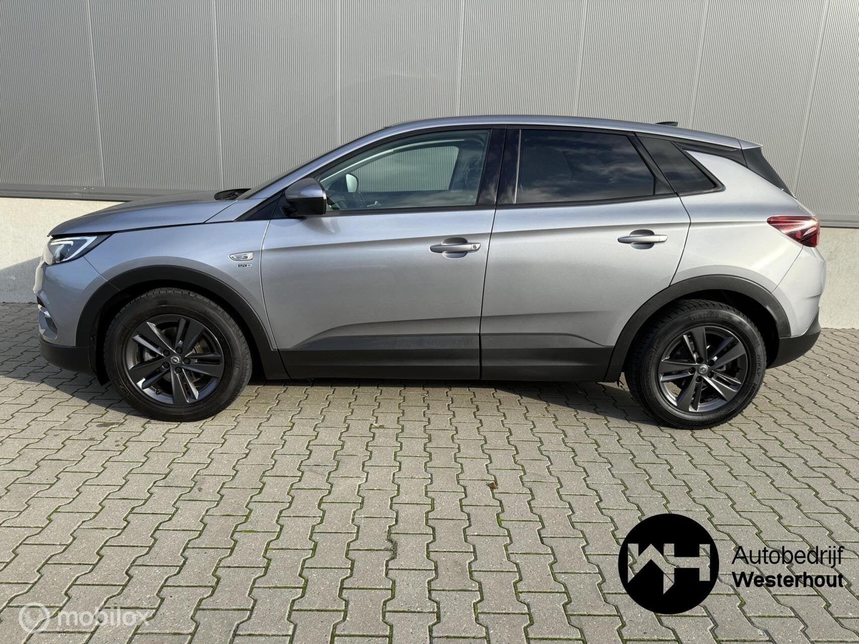 Foto 5 van Opel Grandland X 1.2 Turbo 120 Jaar Edition PANO AUTOMAAT AP
