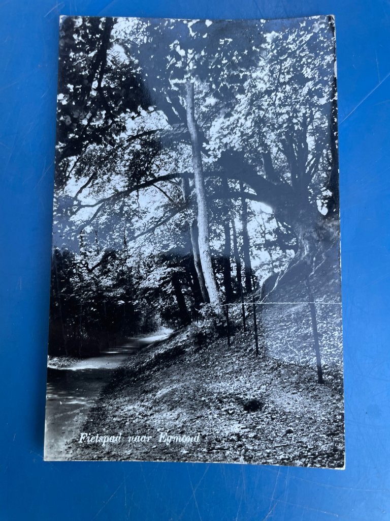 ansichtkaart / kaart van Bergen N.H. Fietspad naar Egmond., Verzenden, 1960 tot 1980, Noord-Holland