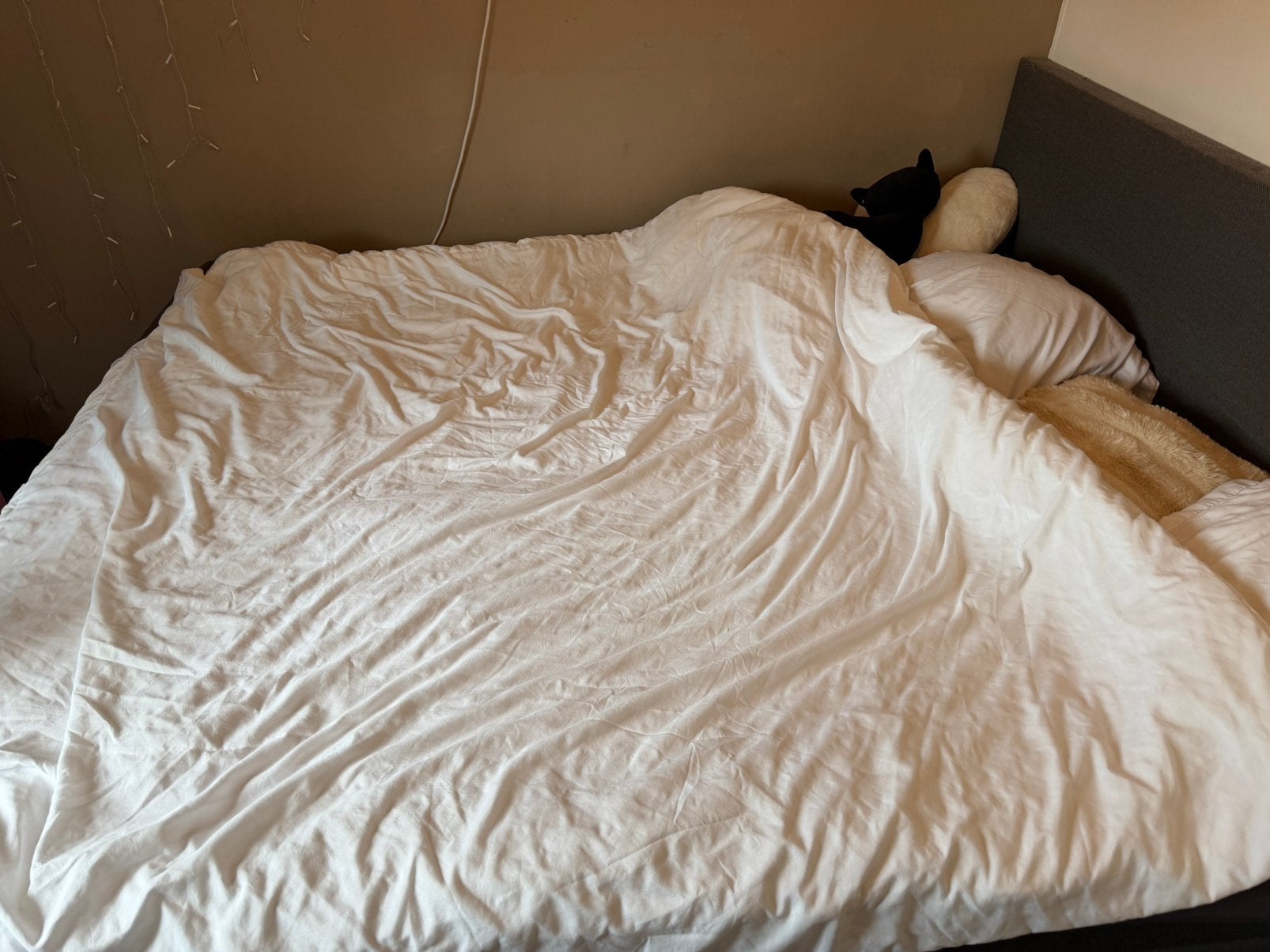 All season dekbed 200x200, Huis en Inrichting, Wit, Ophalen of Verzenden, Overige maten, 200 cm