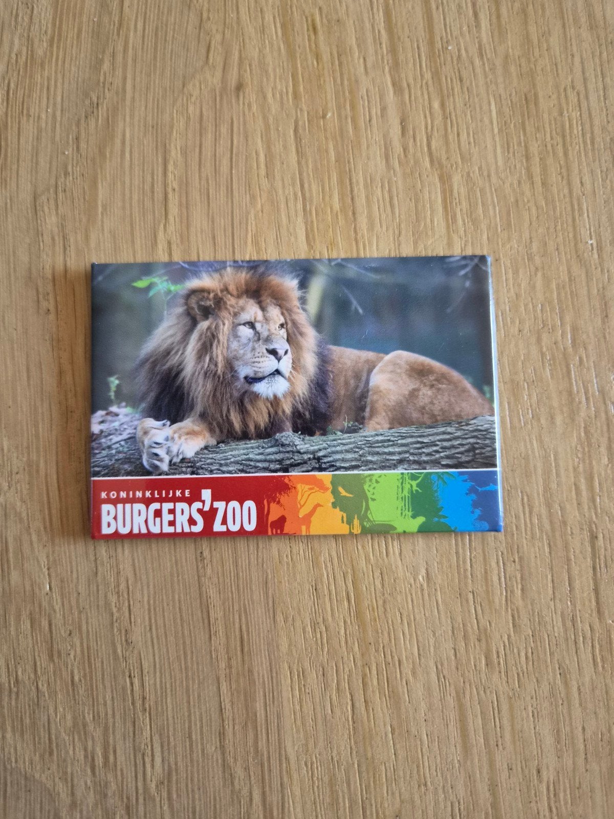 Koelkast magneet koninklijke Burgers Zoo, Ophalen of Verzenden, Zo goed als nieuw