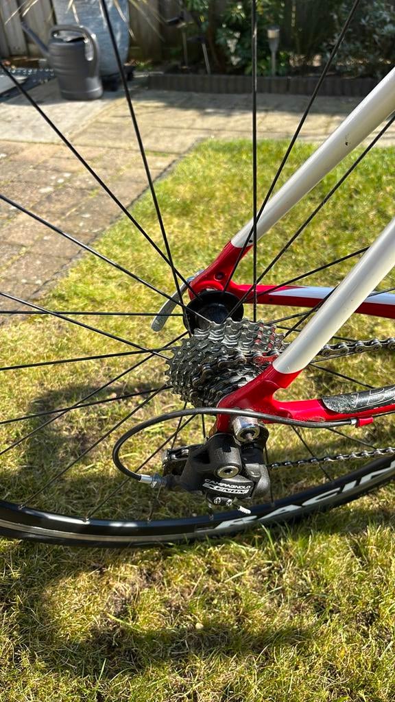 Wielrenfiets maat 48 - Ideaal voor de startende fietser, Fietsen en Brommers, Fietsen | Racefietsen, 28 inch, Gebruikt, Heren