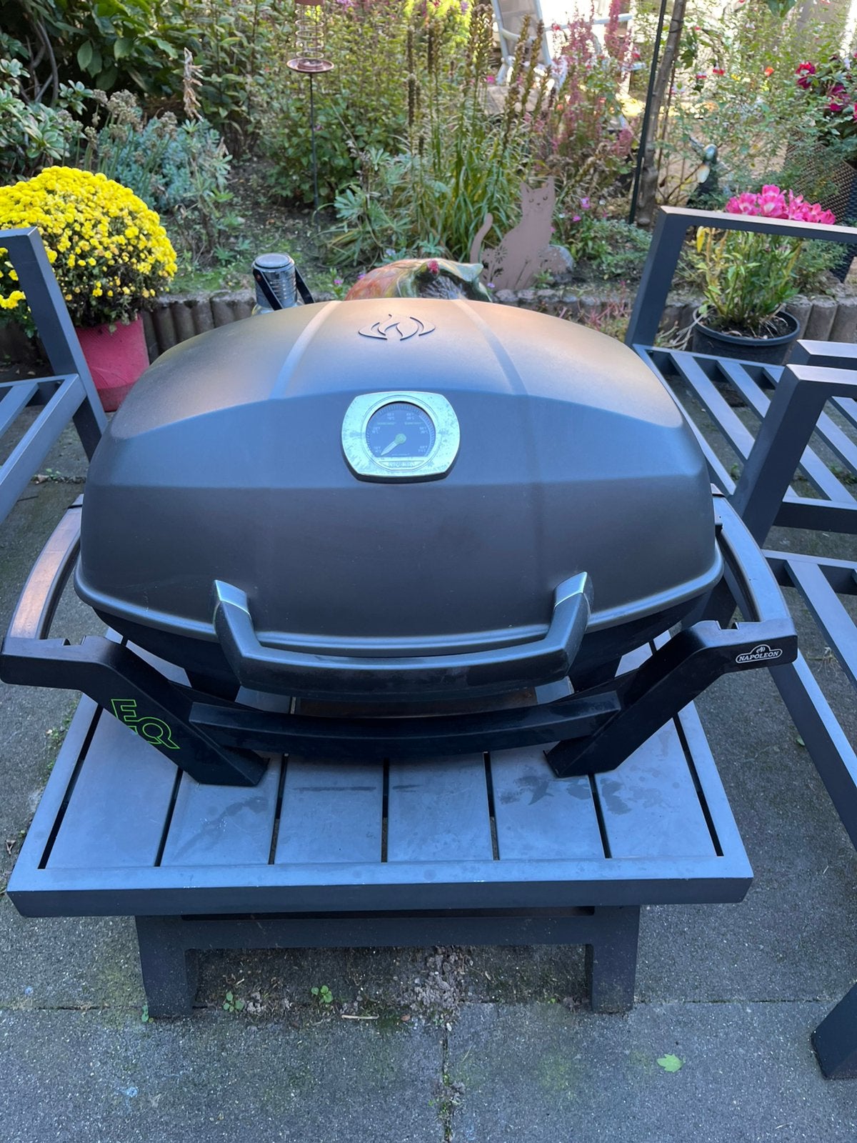 Electrische barbecue, Napoleon, Ophalen, Gebruikt
