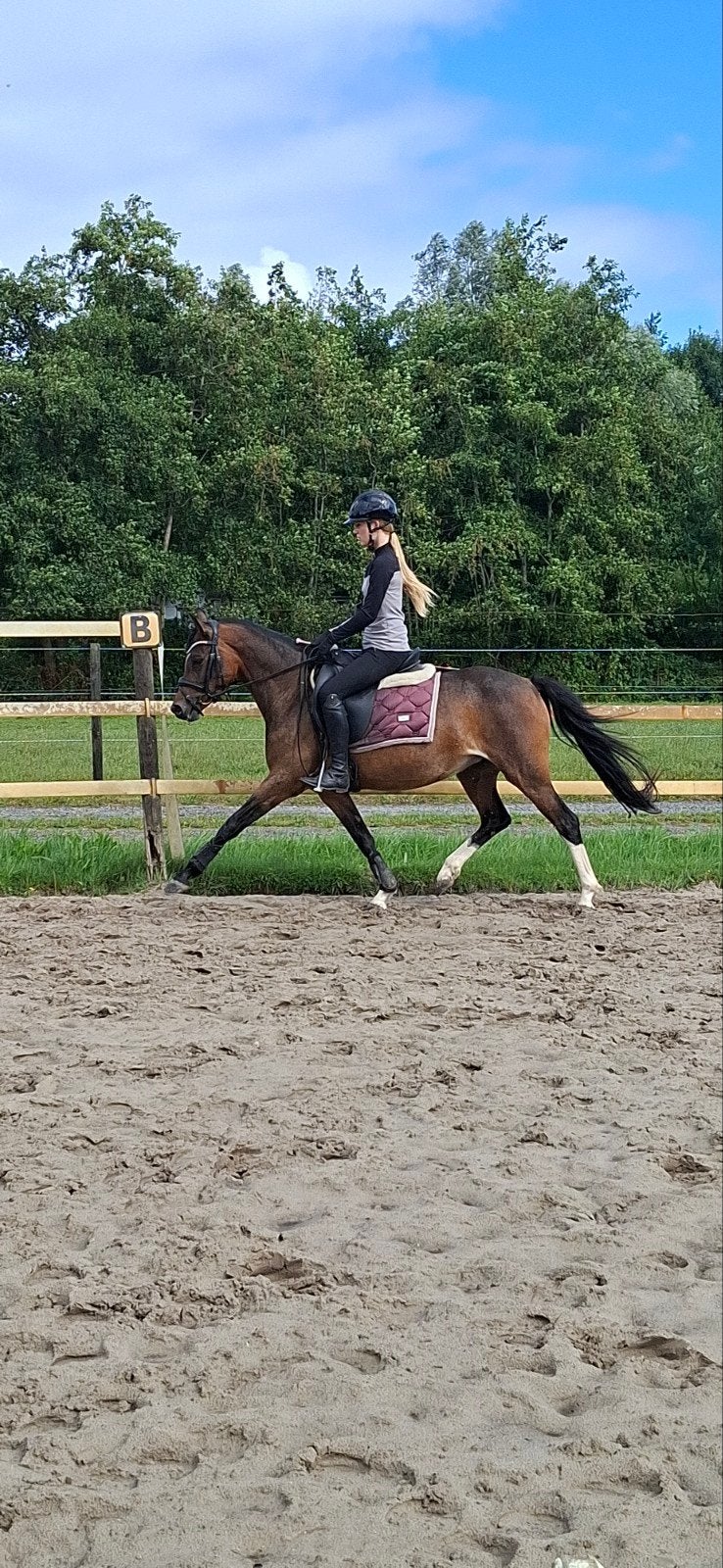 Mooie, zeer tallentvolle 3 jarige c pony, Dieren en Toebehoren, Merrie, B, Dressuurpony, 3 tot 6 jaar