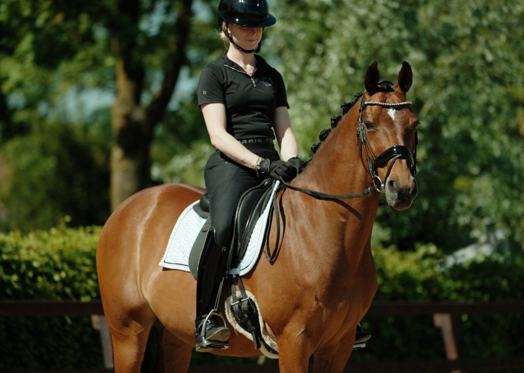 Chique E pony, Dieren en Toebehoren, Pony's, E pony (1.48m - 1.57m), Met stamboom, Ruin, Dressuurpony