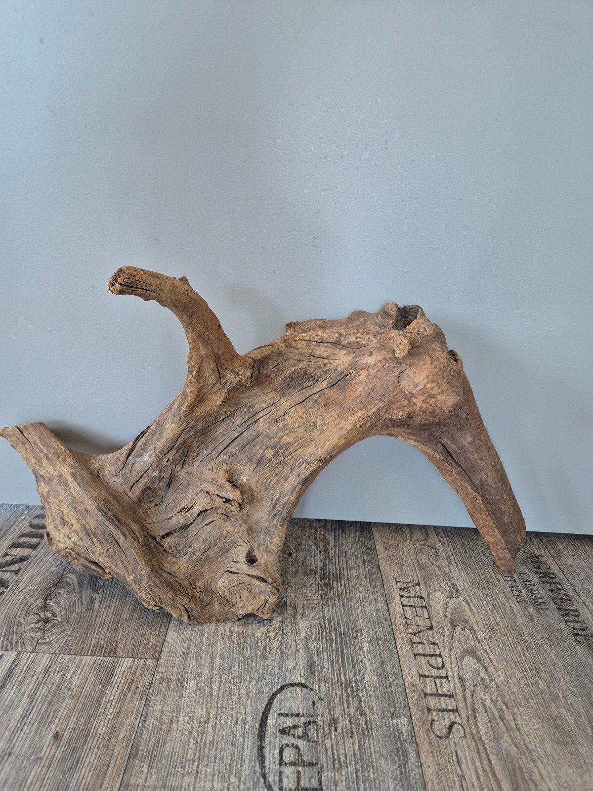 Groot stuk terrarium hout, drijfhout, terrariumhout., Ophalen of Verzenden