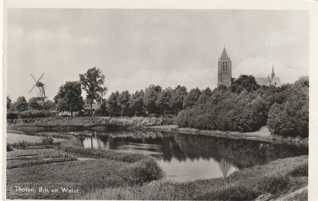 THOLEN Bos en Water met Molen, Verzenden, 1940 tot 1960, Gelopen, Zeeland