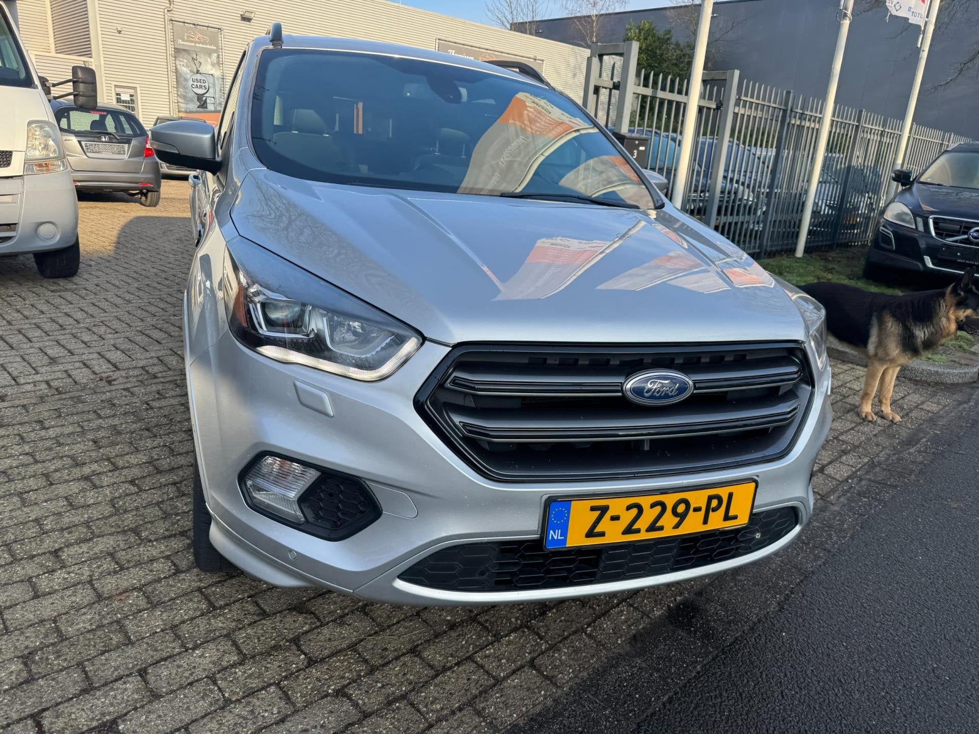 Ford KUGA 1.5 EcoBoost ST Line 113.695 km, trekhaak navi, cr, Auto's, Ford, 4 cilinders, Bedrijf, Handgeschakeld, Automatische klimaatregeling