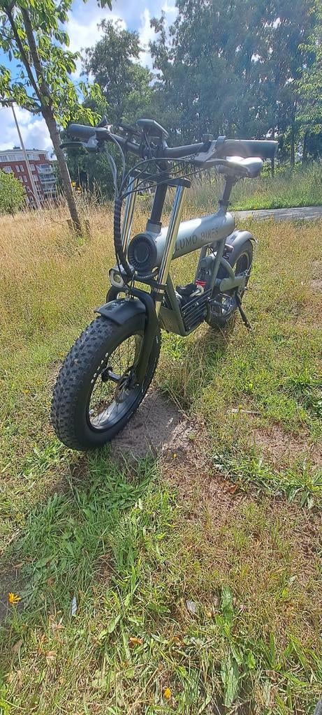 Lumo bike, Ophalen, Zo goed als nieuw, Overige merken