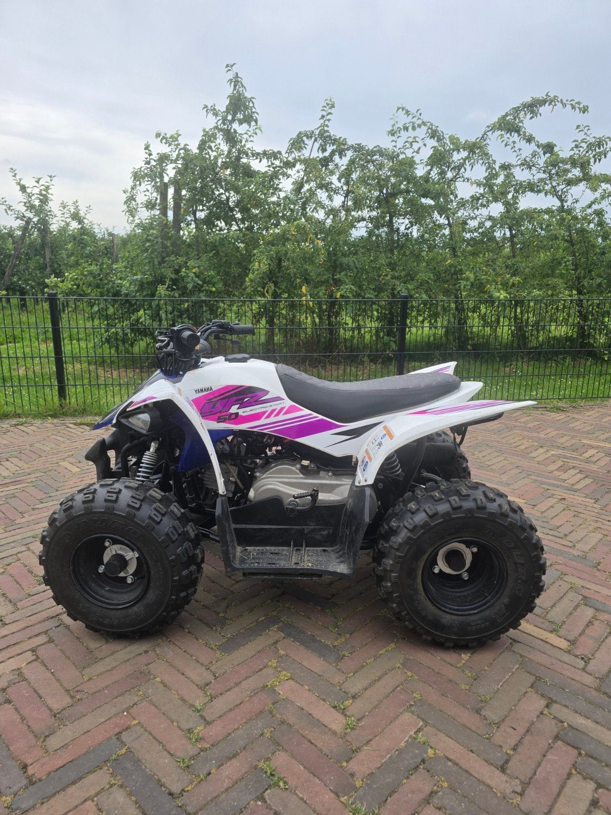 Yamaha YFZ50 Quad - Perfect voor jonge avonturiers, 1 cilinder, 11 kW of minder