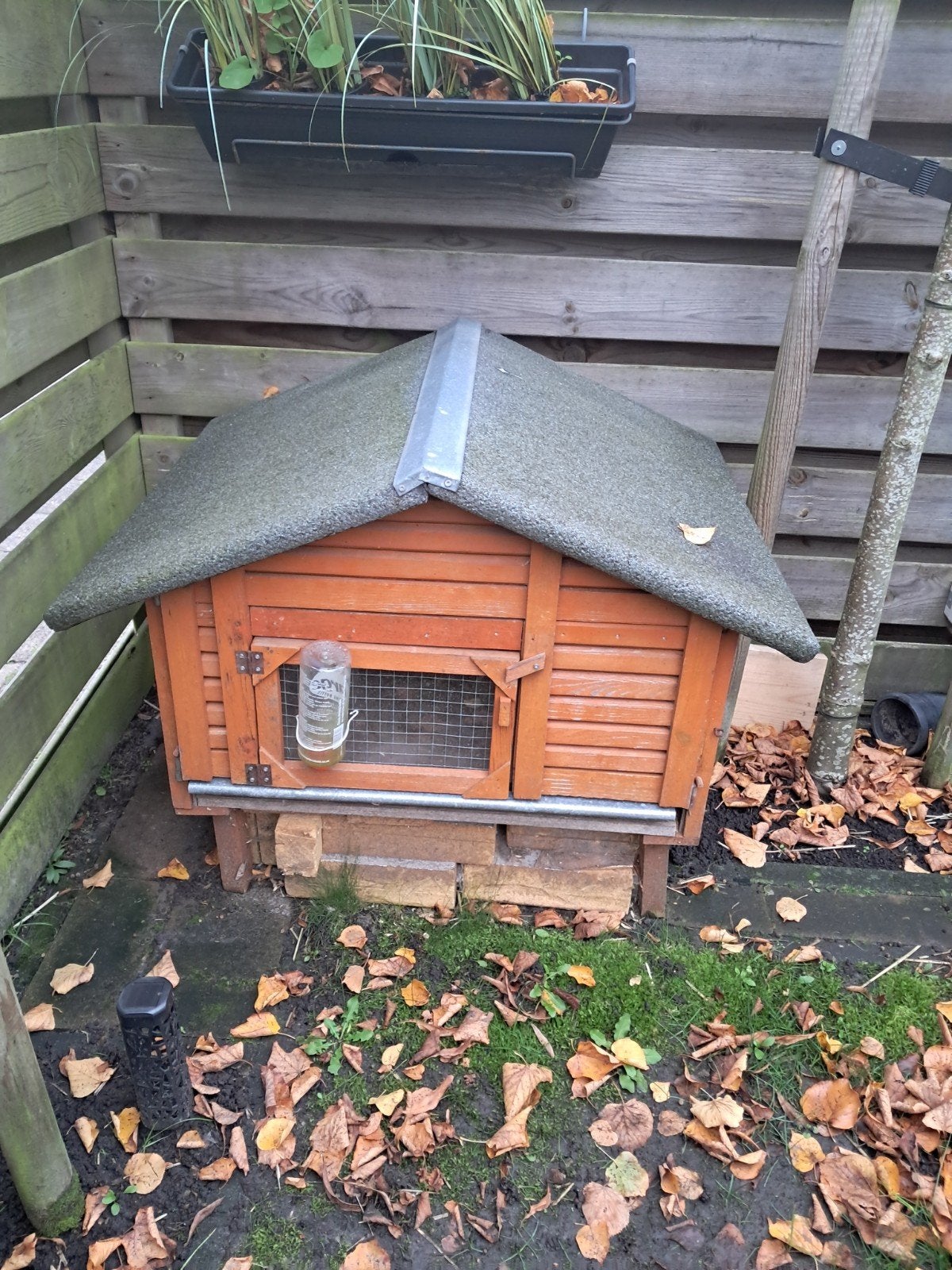 buiten hokje voor konijnen/ cavia's met Ren., Ophalen, Overige typen