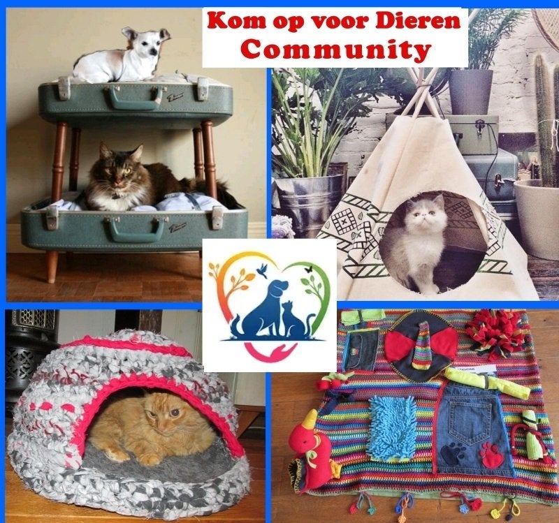 Tbv kat poes kitten Vintage toffe retro kattenartikelen, Ophalen of Verzenden, Nieuw, Overige