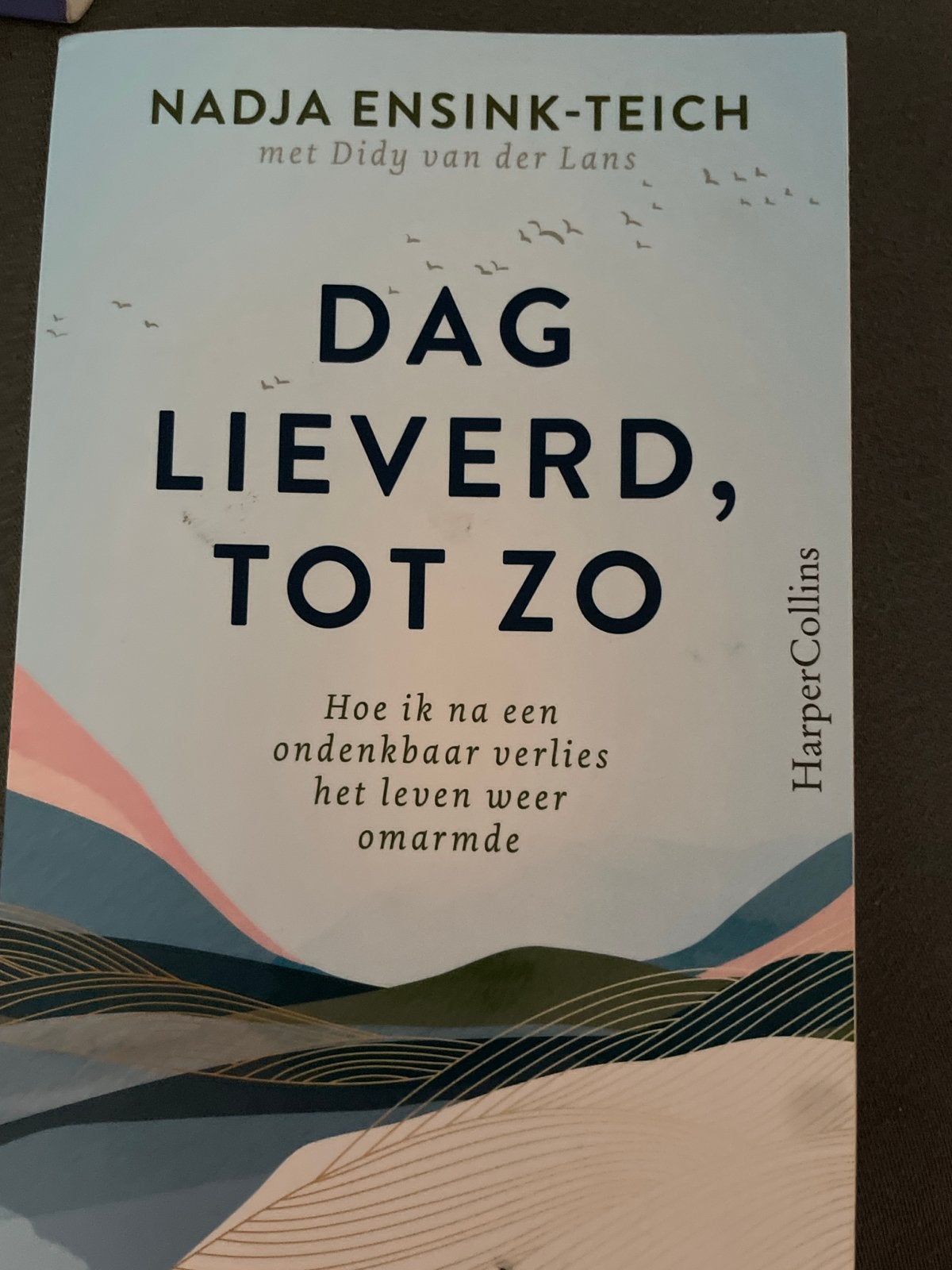 Dag lieverd, tot zo - Nadja Ensink-Teich, Boeken, Ophalen, Zo goed als nieuw, Overige