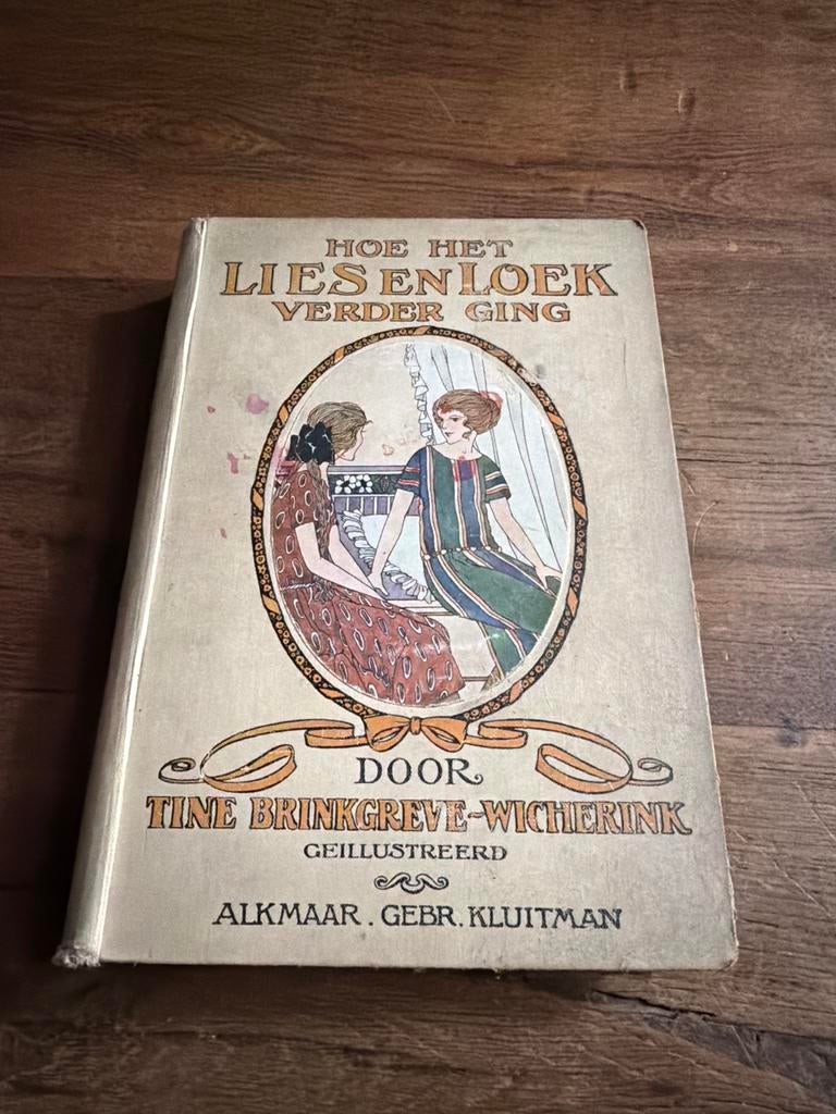 Hoe het Lies en Loek verder ging - Tine Brinkgreve-Wicherink, Ophalen of Verzenden, Gelezen, Fictie algemeen