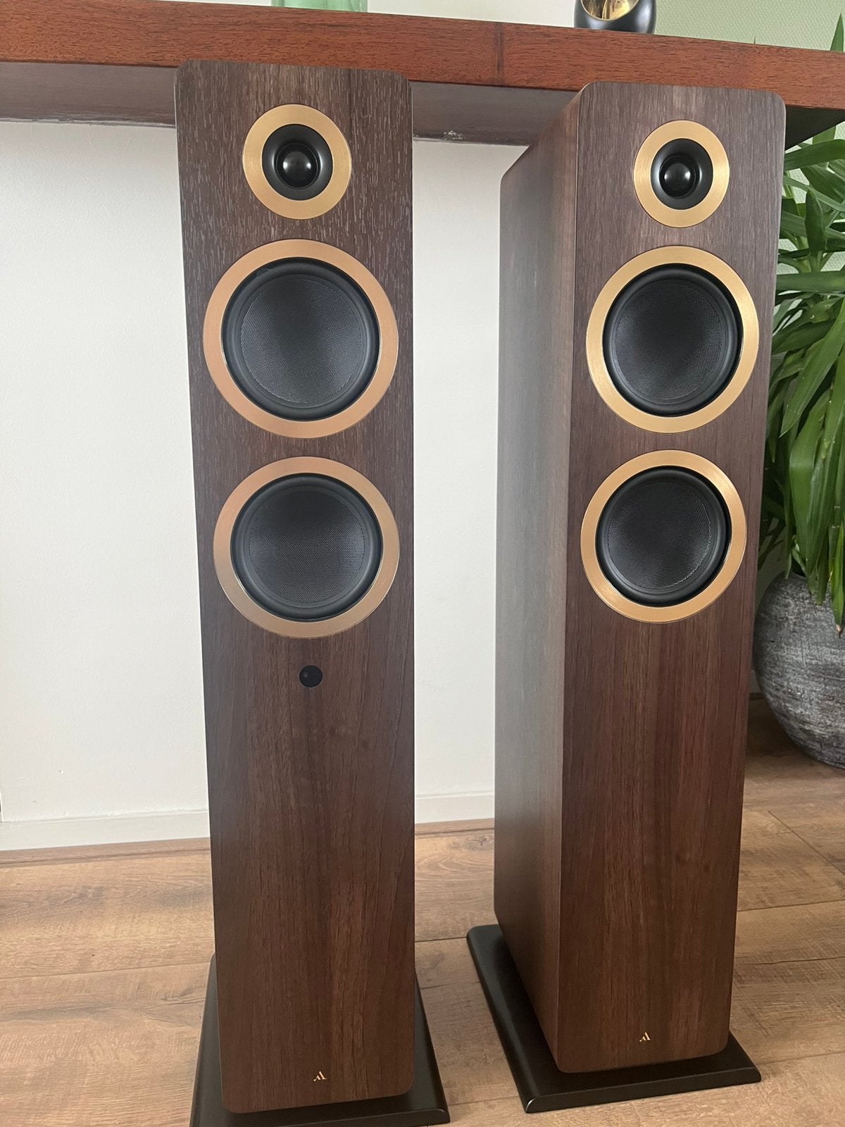Argon audio Forte A55 mk2