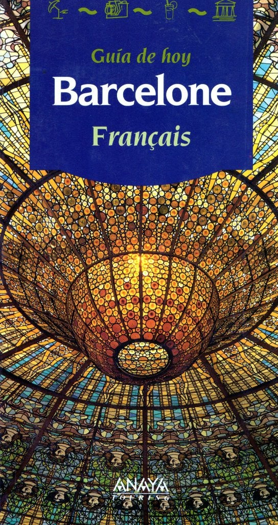 Barcelona - Guia de Hoy BOEK 9788420743899 Frans, Boeken, Overige merken, Europa, Ophalen of Verzenden, Zo goed als nieuw