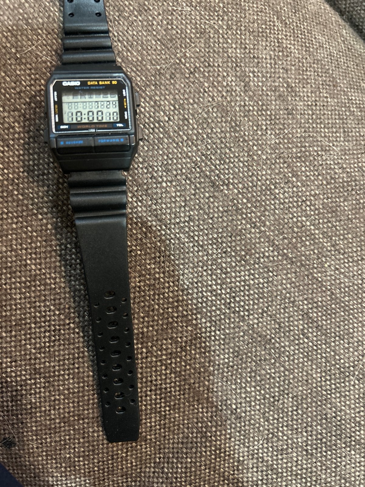Casio Data Bank DB-55W Vintage Polshorloge, Ophalen, Casio, Kunststof, Gebruikt