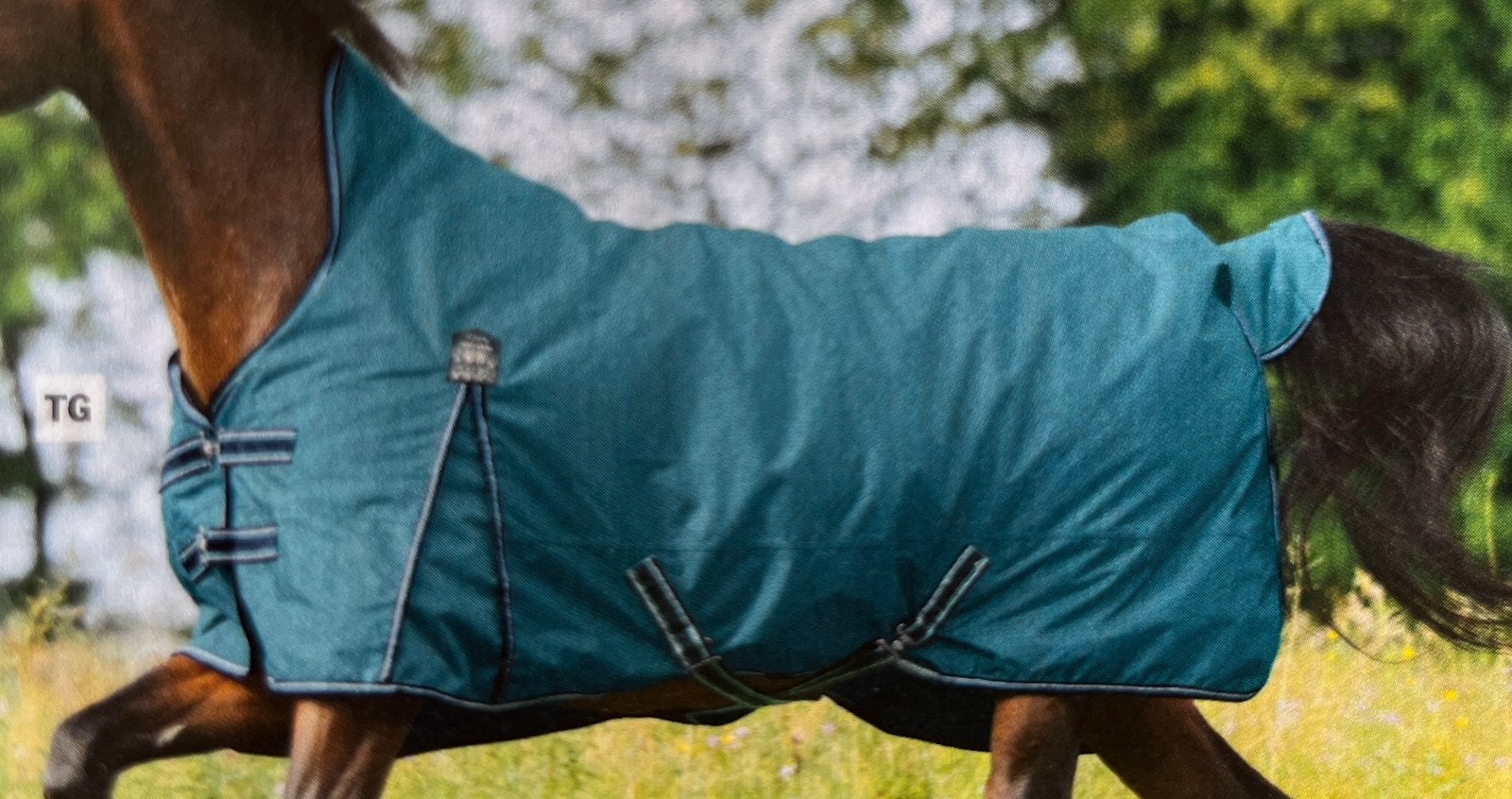 Outdoor paardendeken 100 grams, high neck, Thermomaster, 100 g, Gebruikt, Overige merken, Cob (M)