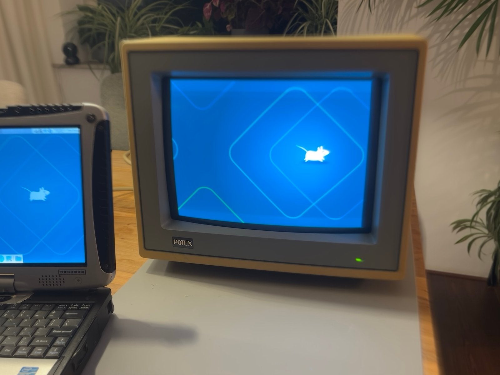 Vintage Potex VGA kleurenmonitor CRT getest 640x480 60hz, Computers en Software, Vintage Computers, Ophalen