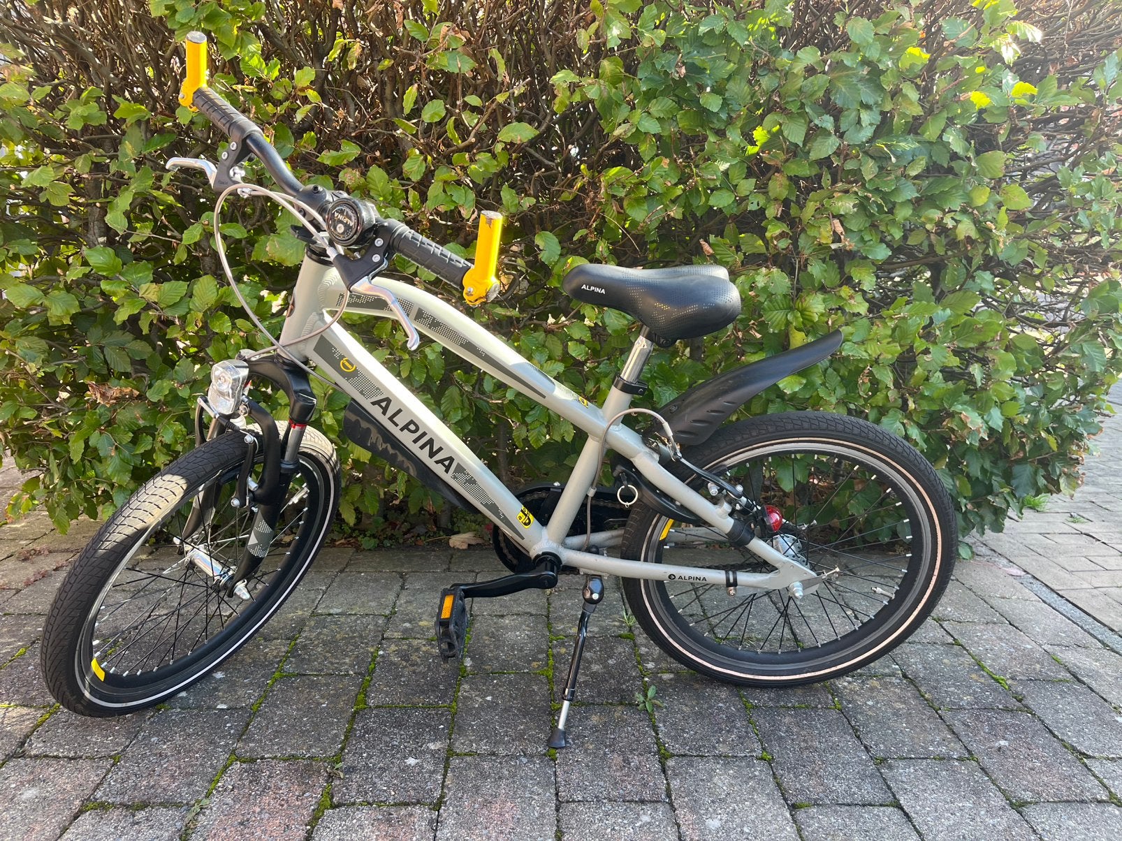 Alpina Trial 20 inch, z.g.a.n. 1e eigenaar!, Ophalen, Zo goed als nieuw, 20 inch
