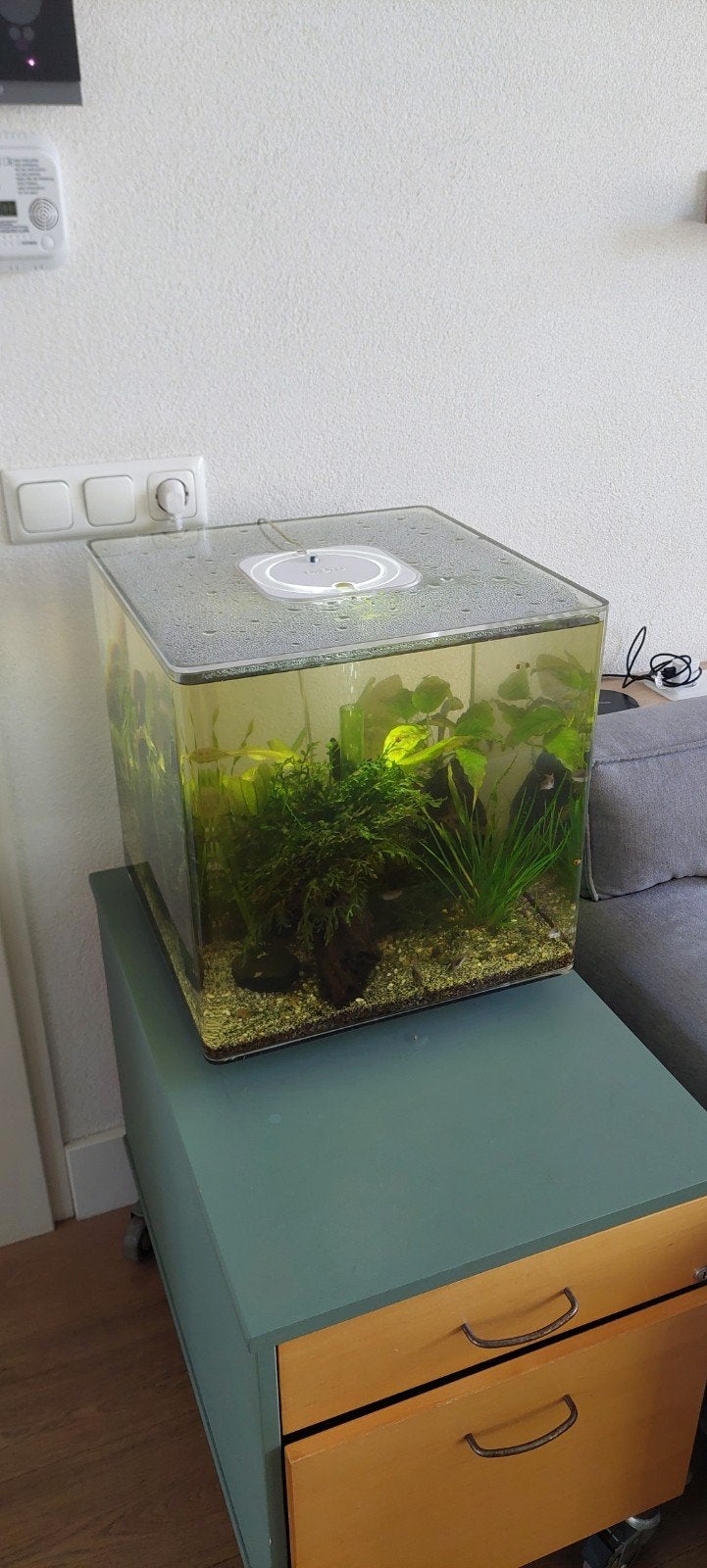Biorb cube 60, Ophalen of Verzenden, Gebruikt, Leeg aquarium, Overige merken