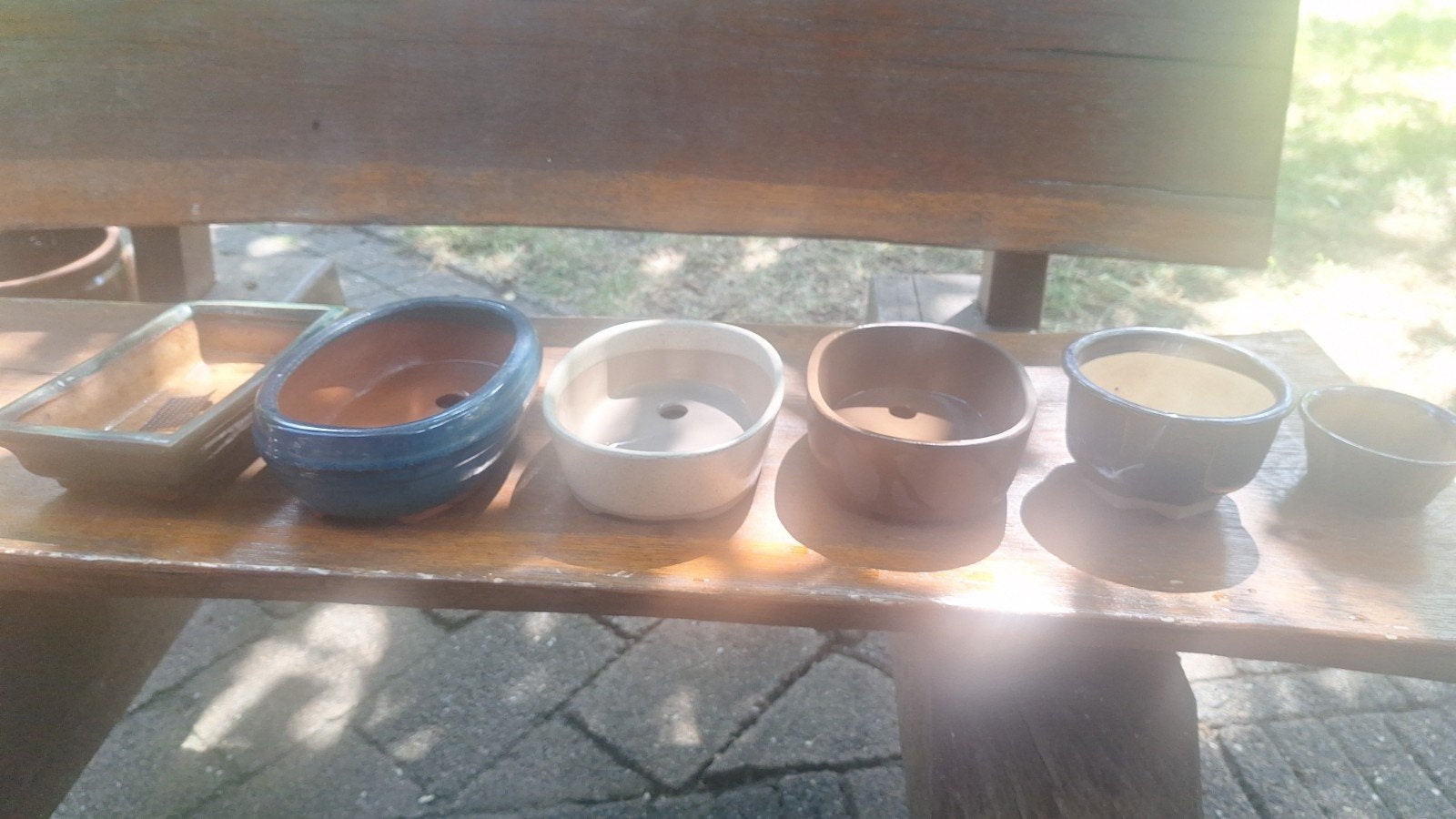 Bonsai schaaltjes, Tuin en Terras, Ophalen, Overige soorten, Halfschaduw